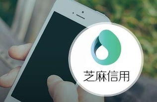 芝麻信用推出“灵芝”系统，以企业级征信服务赋能商业生态